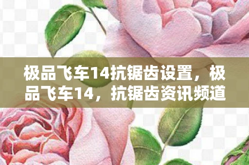 极品飞车14抗锯齿设置，极品飞车14，抗锯齿资讯频道