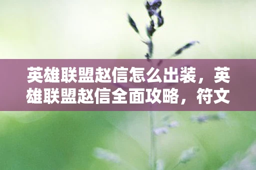 英雄联盟赵信怎么出装,英雄联盟赵信全面攻略,符文、出装、加点与玩法技巧一网打尽 英雄联盟赵信怎么出装,英雄联盟赵信全面攻略,符文、出装、加点与玩法技巧一网打尽