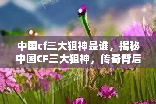 中国cf三大狙神是谁，揭秘中国CF三大狙神，传奇背后的故事