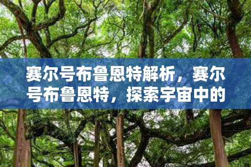 赛尔号布鲁恩特解析,赛尔号布鲁恩特,探索宇宙中的新冒险 赛尔号布鲁恩特解析,赛尔号布鲁恩特,探索宇宙中的新冒险