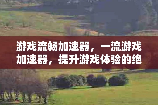 游戏流畅加速器，一流游戏加速器，提升游戏体验的绝佳之选