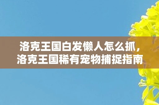 洛克王国白发懒人怎么抓,洛克王国稀有宠物捕捉指南,白发懒人的秘密捕捉之旅! 洛克王国白发懒人怎么抓,洛克王国稀有宠物捕捉指南,白发懒人的秘密捕捉之旅!