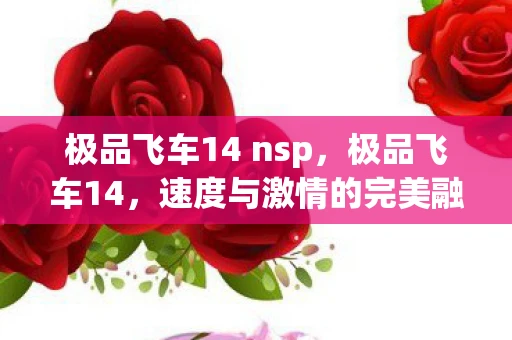 极品飞车14 nsp，极品飞车14，速度与激情的完美融合的数据包探索之旅