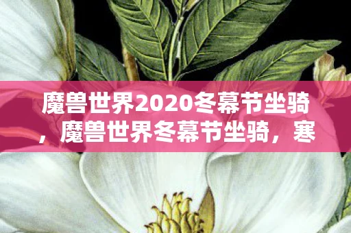 魔兽世界2020冬幕节坐骑,魔兽世界冬幕节坐骑,寒冬中的骑行之乐 魔兽世界2020冬幕节坐骑,魔兽世界冬幕节坐骑,寒冬中的骑行之乐