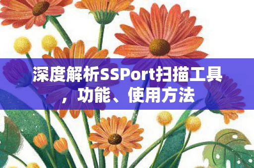 深度解析SSPort扫描工具图片