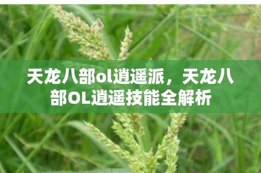 天龙八部ol逍遥派，天龙八部OL逍遥技能全解析