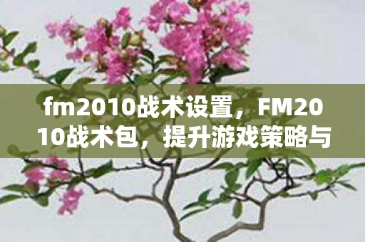fm2010战术设置,FM2010战术包,提升游戏策略与真实感的必备利器 fm2010战术设置,FM2010战术包,提升游戏策略与真实感的必备利器