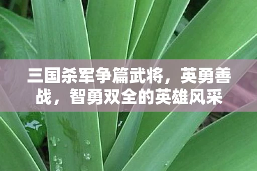 智勇双全的英雄风采图片