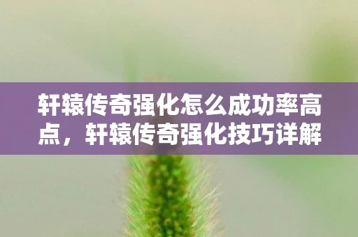 轩辕传奇强化怎么成功率高点,轩辕传奇强化技巧详解,打造无敌装备的秘密武器 轩辕传奇强化怎么成功率高点,轩辕传奇强化技巧详解,打造无敌装备的秘密武器