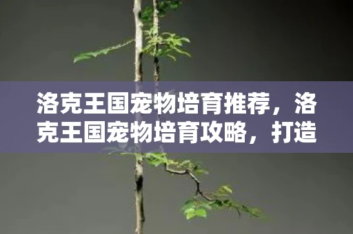 洛克王国宠物培育推荐,洛克王国宠物培育攻略,打造你的专属强力战队! 洛克王国宠物培育推荐,洛克王国宠物培育攻略,打造你的专属强力战队!