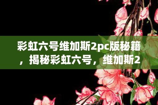 彩虹六号维加斯2pc版秘籍,揭秘彩虹六号,维加斯2秘籍,带你成为战场精英! 彩虹六号维加斯2pc版秘籍,揭秘彩虹六号,维加斯2秘籍,带你成为战场精英!