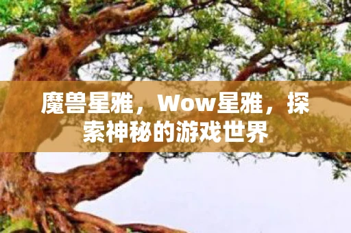 魔兽星雅,Wow星雅,探索神秘的游戏世界 魔兽星雅,Wow星雅,探索神秘的游戏世界