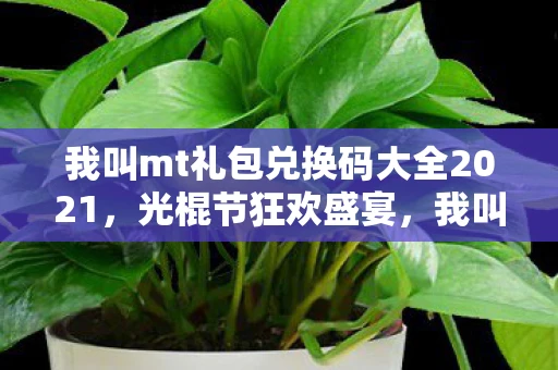 我叫mt礼包兑换码大全2021，光棍节狂欢盛宴，我叫MT光棍节礼包大放送