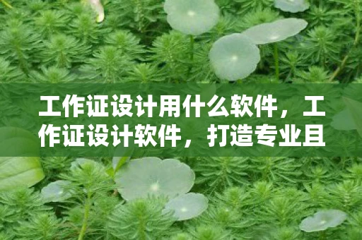 工作证设计用什么软件，工作证设计软件，打造专业且具有创意的职场身份标识