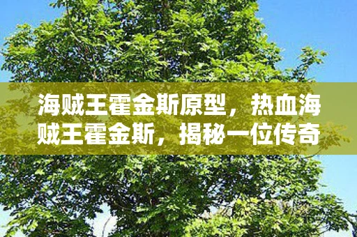 海贼王霍金斯原型,热血海贼王霍金斯,揭秘一位传奇海盗的神秘面纱 海贼王霍金斯原型,热血海贼王霍金斯,揭秘一位传奇海盗的神秘面纱