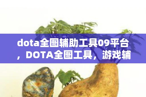 dota全图辅助工具09平台,DOTA全图工具,游戏辅助的利器 dota全图辅助工具09平台,DOTA全图工具,游戏辅助的利器