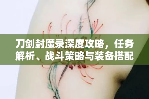 战斗策略与装备搭配指南图片