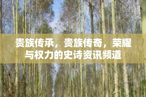 贵族传承,贵族传奇,荣耀与权力的史诗资讯频道 贵族传承,贵族传奇,荣耀与权力的史诗资讯频道