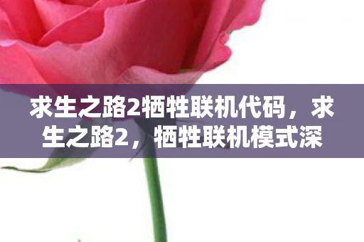 求生之路2牺牲联机代码,求生之路2,牺牲联机模式深度解析 求生之路2牺牲联机代码,求生之路2,牺牲联机模式深度解析