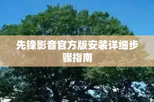 先锋影音官方版安装详细步骤指南图片
