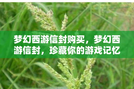 梦幻西游信封购买,梦幻西游信封,珍藏你的游戏记忆资讯 梦幻西游信封购买,梦幻西游信封,珍藏你的游戏记忆资讯