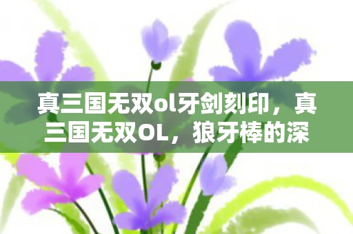 真三国无双ol牙剑刻印，真三国无双OL，狼牙棒的深度解析