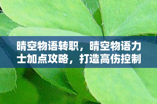 晴空物语转职，晴空物语力士加点攻略，打造高伤控制永动机！