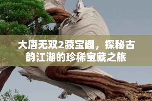 探秘古韵江湖的珍稀宝藏之旅图片
