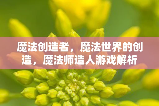 魔法创造者,魔法世界的创造,魔法师造人游戏解析 魔法创造者,魔法世界的创造,魔法师造人游戏解析