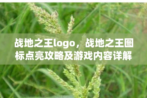 战地之王logo,战地之王图标点亮攻略及游戏内容详解 战地之王logo,战地之王图标点亮攻略及游戏内容详解