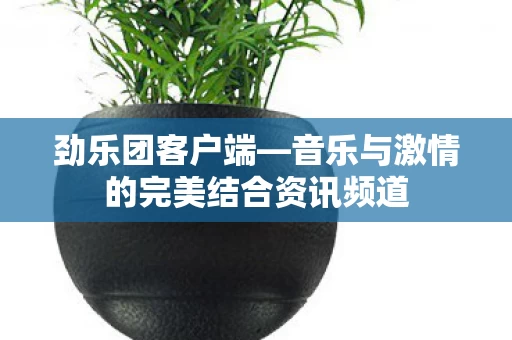 音乐与激情的完美结合资讯频道图片