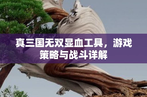 真三国无双显血工具图片