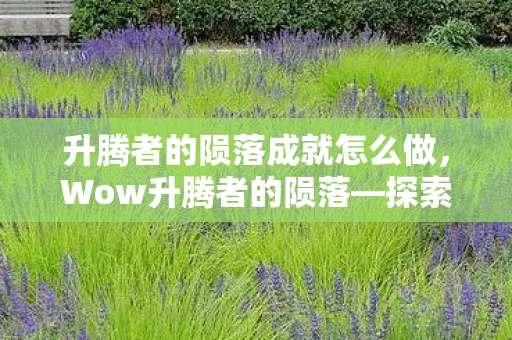 升腾者的陨落成就怎么做，Wow升腾者的陨落—探索一个游戏英雄的兴衰史