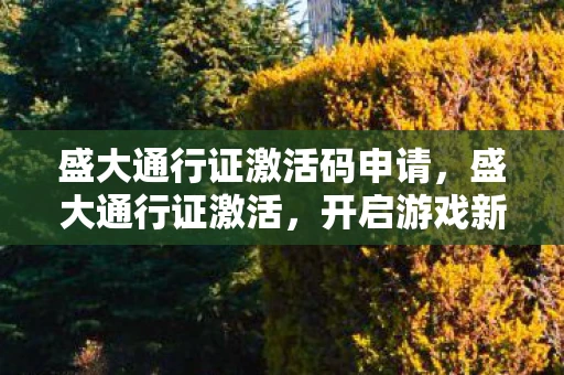 盛大通行证激活码申请，盛大通行证激活，开启游戏新篇章