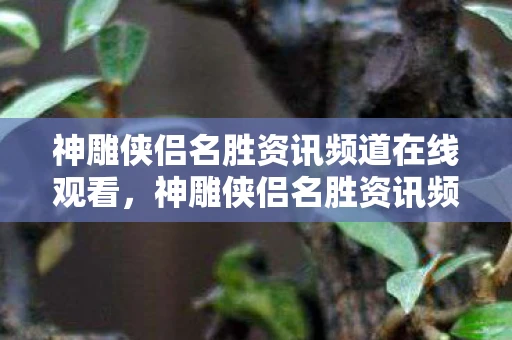 神雕侠侣名胜资讯频道在线观看,神雕侠侣名胜资讯频道,探寻江湖中的文化瑰宝 神雕侠侣名胜资讯频道在线观看,神雕侠侣名胜资讯频道,探寻江湖中的文化瑰宝