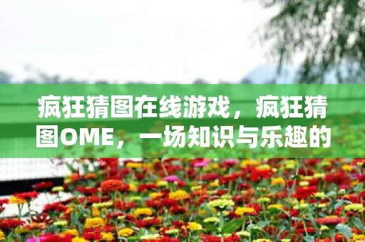 疯狂猜图在线游戏，疯狂猜图OME，一场知识与乐趣的碰撞