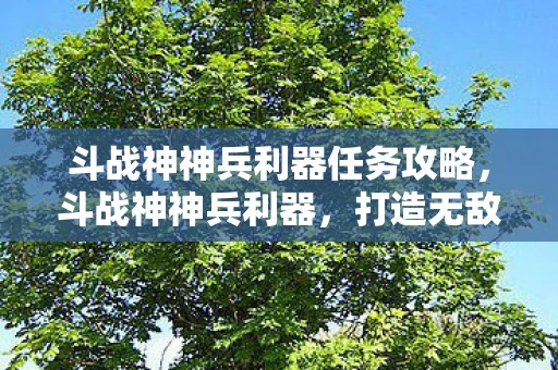斗战神神兵利器任务攻略，斗战神神兵利器，打造无敌战神
