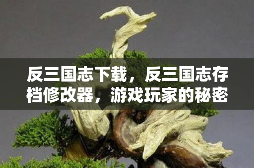 反三国志下载,反三国志存档修改器,游戏玩家的秘密武器 反三国志下载,反三国志存档修改器,游戏玩家的秘密武器