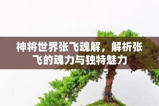解析张飞的魂力与独特魅力图片