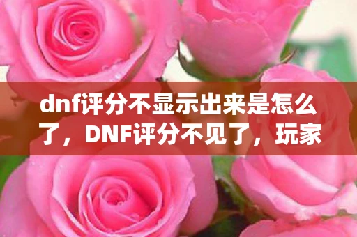 dnf评分不显示出来是怎么了，DNF评分不见了，玩家如何应对？探究DNF评分系统消失的原因