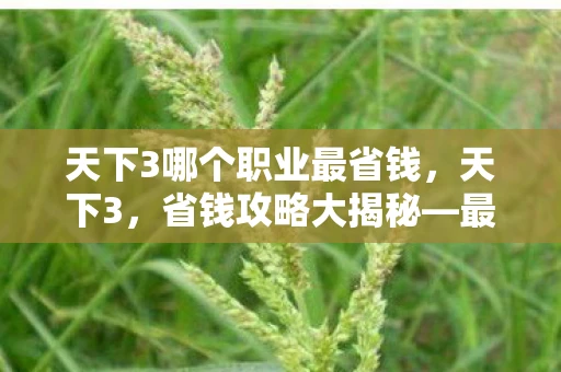 天下3哪个职业最省钱,天下3,省钱攻略大揭秘—最省钱的游戏职业推荐 天下3哪个职业最省钱,天下3,省钱攻略大揭秘—最省钱的游戏职业推荐