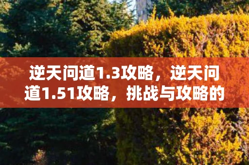 逆天问道1.3攻略，逆天问道1.51攻略，挑战与攻略的完美结合