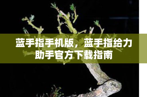 蓝手指手机版,蓝手指给力助手官方下载指南 蓝手指手机版,蓝手指给力助手官方下载指南