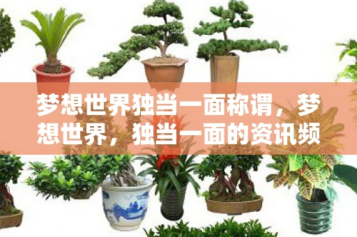 梦想世界独当一面称谓，梦想世界，独当一面的资讯频道