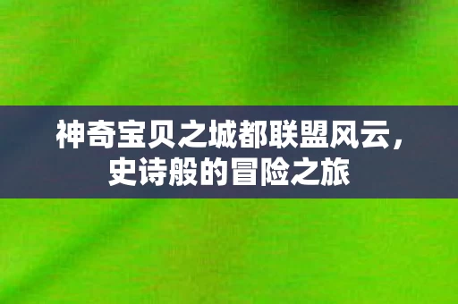 神奇宝贝之城都联盟风云图片