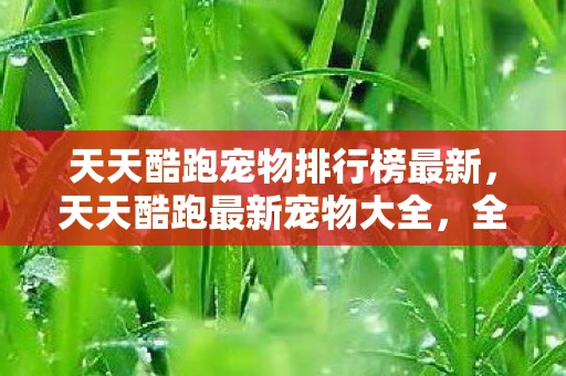 天天酷跑宠物排行榜最新,天天酷跑最新宠物大全,全新伙伴助力你的赛道之旅 天天酷跑宠物排行榜最新,天天酷跑最新宠物大全,全新伙伴助力你的赛道之旅