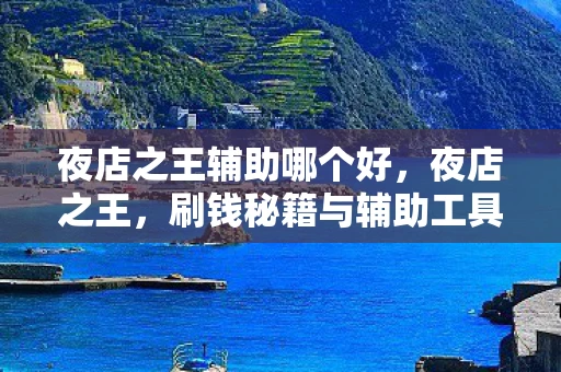 夜店之王辅助哪个好，夜店之王，刷钱秘籍与辅助工具解析