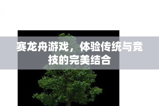 体验传统与竞技的完美结合图片