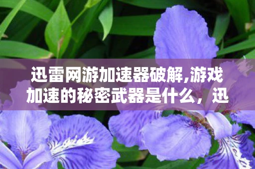 迅雷网游加速器破解,游戏加速的秘密武器是什么，迅雷网游加速器破解，游戏加速的秘密武器！