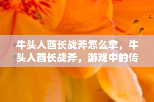 牛头人酋长战斧怎么拿，牛头人酋长战斧，游戏中的传奇武器